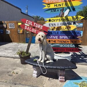 ☕️ UNLISTED INVENTORY